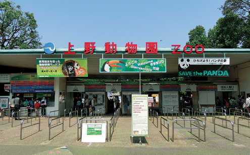 上野動物園婚活