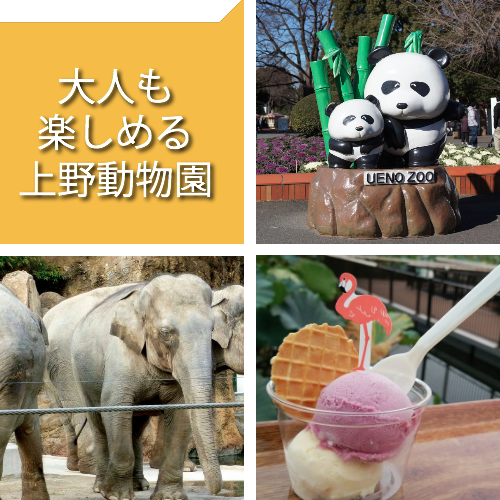 大人の上野動物園婚活